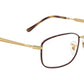 RB6533 Optics 3177