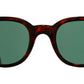 1392 Sun 02 dark turtle