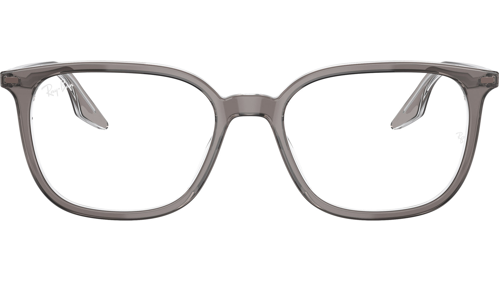 RB5406 Optics 8111