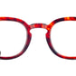 9290 Optical 02 Red Havana