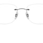 RB8748 Optics 1000
