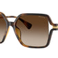 RA5319U 500313 Dark Havana