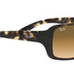 RB4068 tortoise