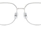 SK1009D 4001