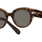 Roundabout RB2192 1292B1 havana on transparent brown