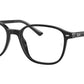 Leonard Optics RB5393 2000