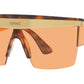 VE2254 100274 tortoise