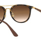 RB4285 tortoise and brown