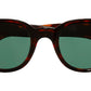 1392 Sun 02 dark turtle