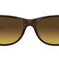 New Wayfarer Bicolor RB2132 tortoise gradient