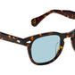 Gelt Sun Tortoise
