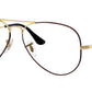 Aviator Optics RB6489 3175