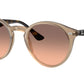RB2180 678846 Turtledove