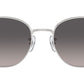RB3809 003/M3 Silver
