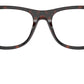 PR A18V 17N1O1 Tortoise