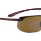Banyans H412-10 tortoise