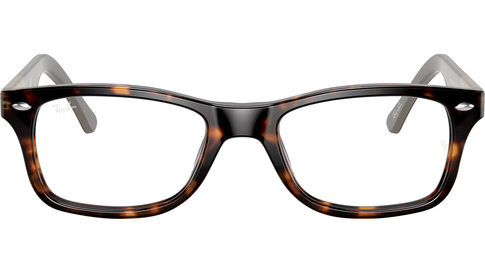 RB5228 Optics 5545