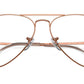 Aviator Optics RB6489 3094