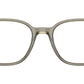 Leonard Optics RB5393 8178