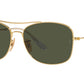 RB3799 001/31 arista