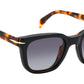 DB 7043/CS WR7 LB Black Havana