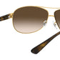 RB3386 arista gold brown