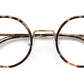Shikker Tortoise/Gold