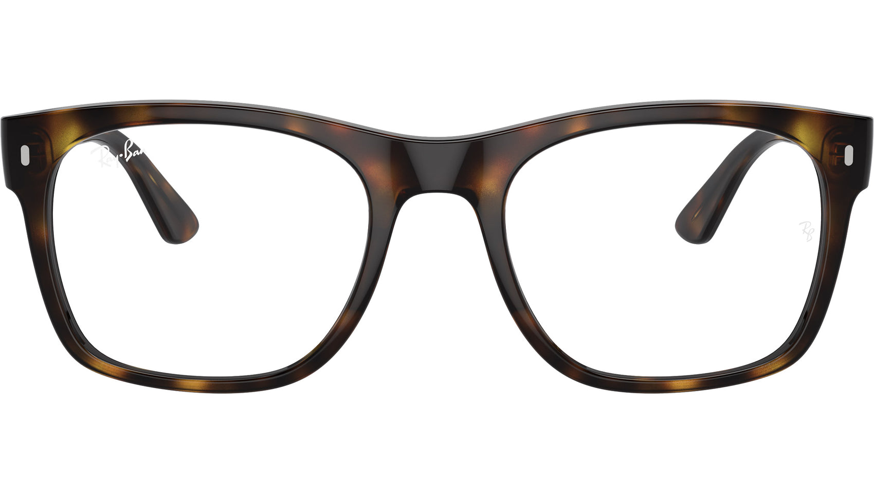 RB7228 Optics 2012