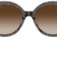 San Lucas MK2214U 300613 Dark Tortoise
