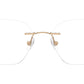 RB8783D Optics 1248