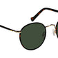 Zev Sun Tortoise Gold
