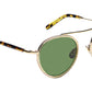 Pupik Sun Citron tortoise