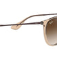Erika RB4171 651413 transparent light brown