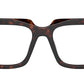 PR A19V 17N1O1 Tortoise