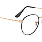 RB3447V Optics 3173