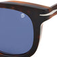 DB 7030/S Dark Havana Brown Blue Avio