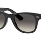 Wayfarer RJ9066S 100/11 black