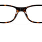 RB5228 Optics 5545