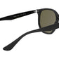 RB4306 601/9A black