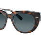 Doreen RB2286 1413S3 Dark Havana