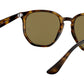 RB4306 710/73 light havana