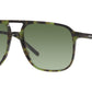 DG 4423 17358E tortoise