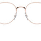 RB3681V Optics 3094
