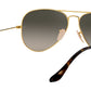 Aviator Havana Collection RB3025 181/71 Gold Grey