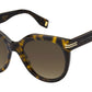 MJ 1011/S WR9 Brown Havana