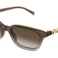 GG2208S 004