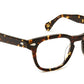 Gelt Dark Havana
