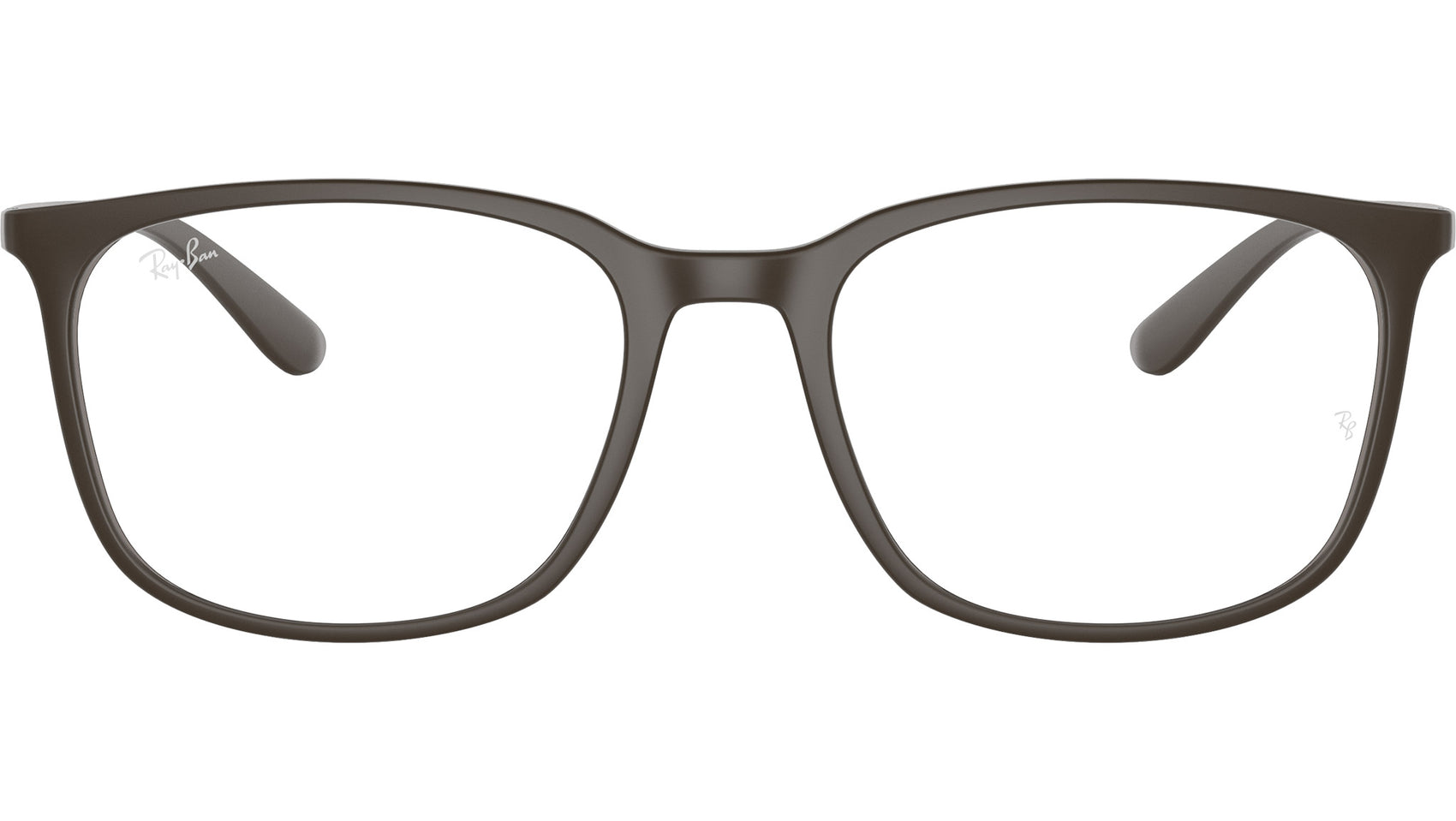 RB7199 Optics 8063