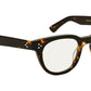Vilda Tortoise
