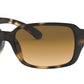 RB4068 tortoise